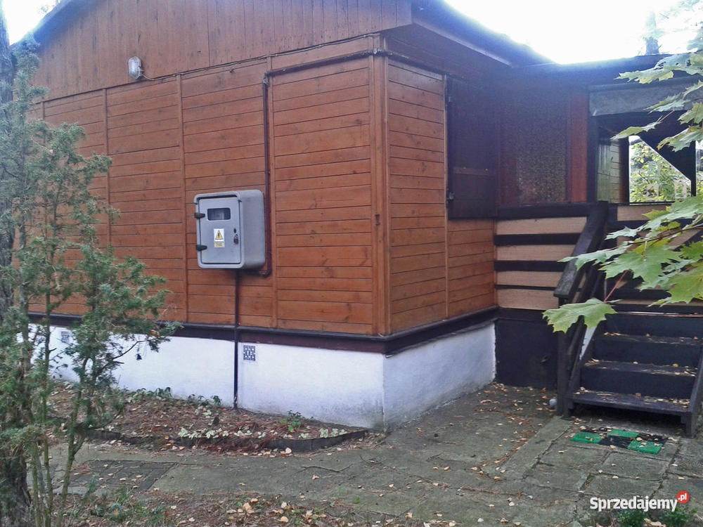 leśna działka z domkiem Błędowo kPomiechówka