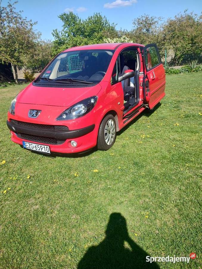 Peugeot 1007 Felicjanów