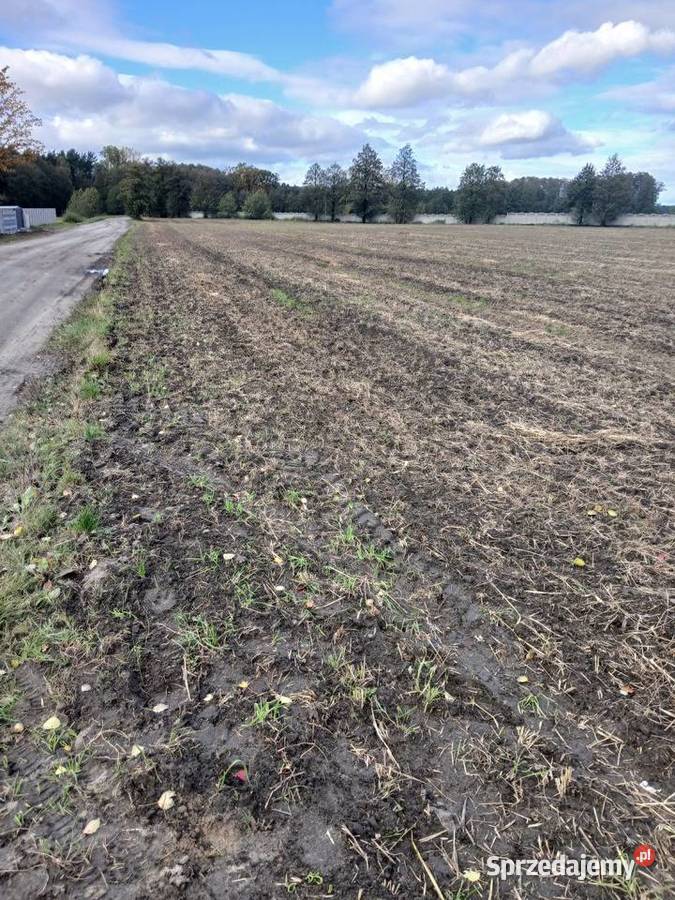 Sprzedam działki budowlane Kiełkowo sprzedam