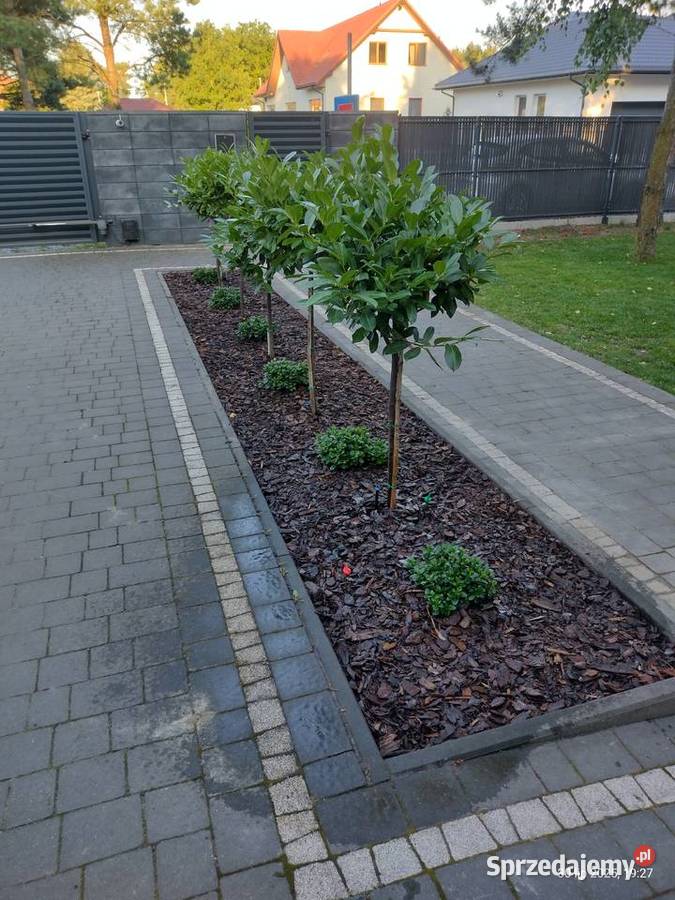 Prace remontowemalowanie Ogrod Komornica