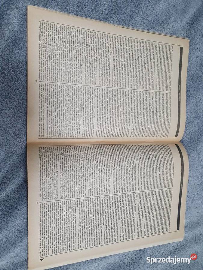 Literatura 384 Elvis Sukces i Zabawy sprzedam