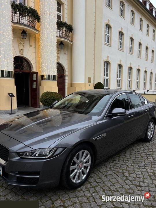 Jaguar XE 20 T Pure 200 2015r Bezwypadkowy pomorskie Sopot