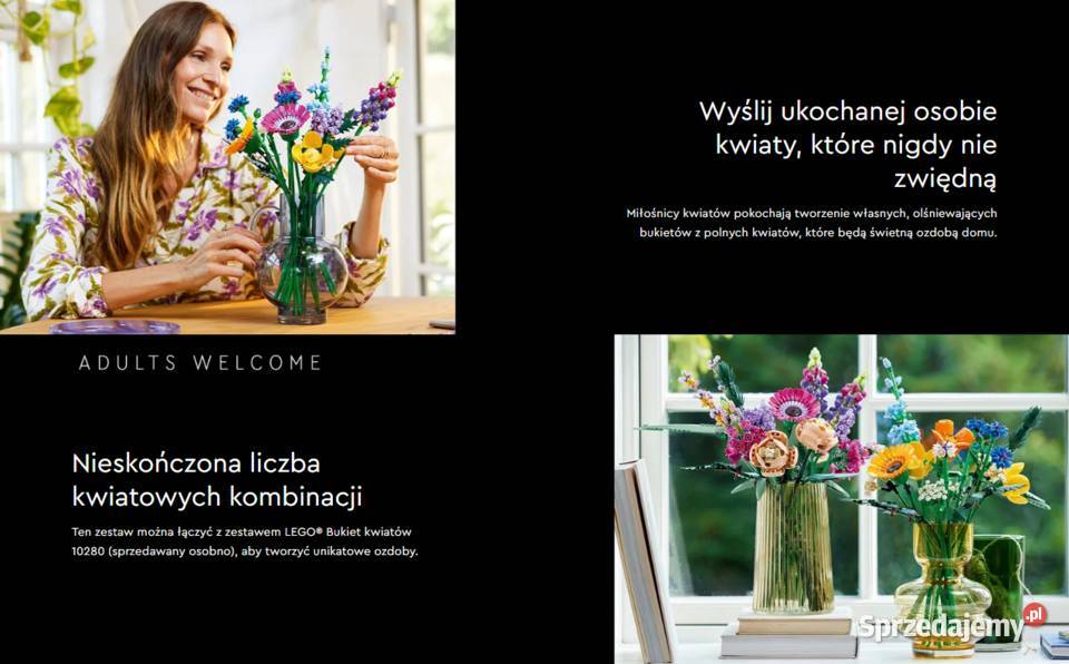 KLOCKI KREATYWNE NA PREZENT ŚWIĘTA LEGO 10313 Dla Dziecka