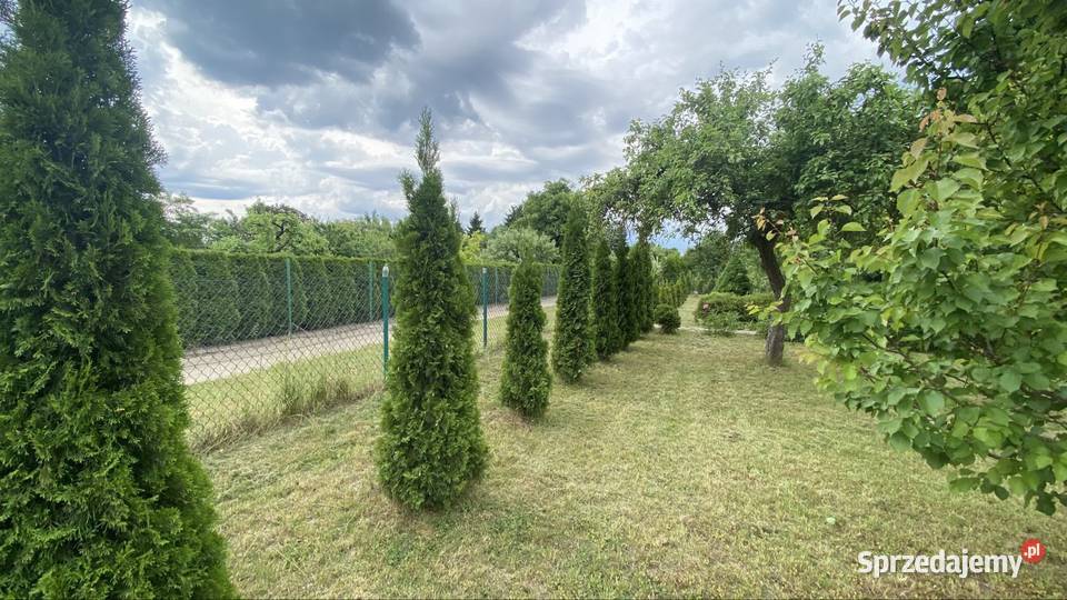 DZIAŁKA REKRECYJNA Chełmża