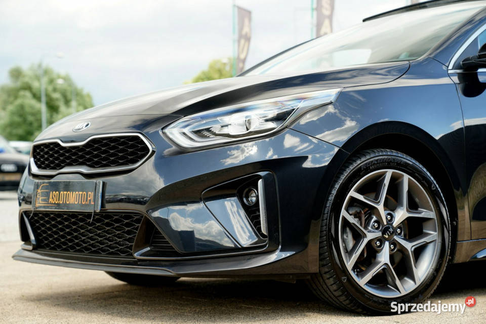 Kia Pro Ceed GT LINE skóra FUL LED nawi grzane ogranicznik prędkości opolskie Otmuchów