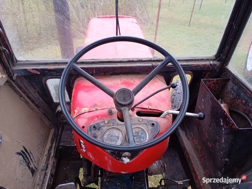 Ursus kujawsko-pomorskie