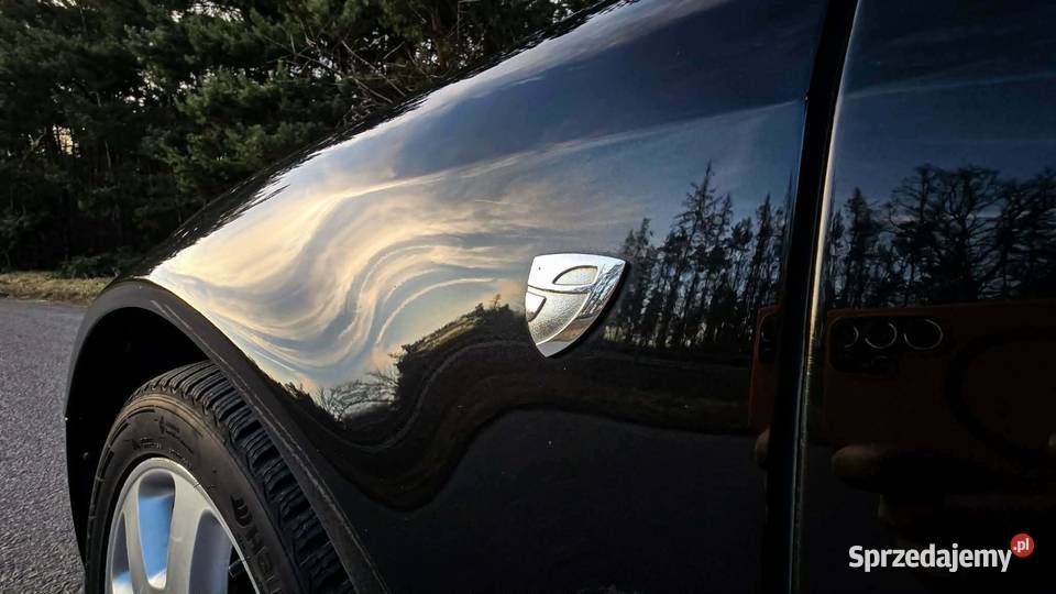 VW Phaeton GP1 CEXA Mega wyposażenie