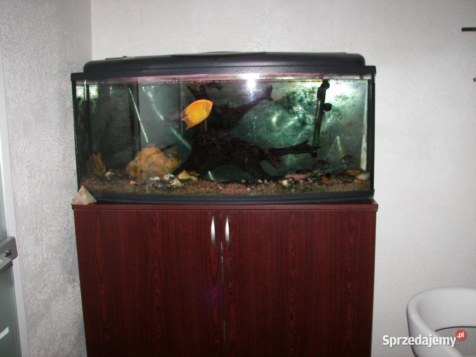 Akwarium z szafką i pompą filtrującą Radomsko