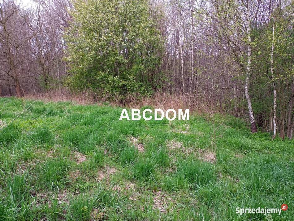 Raciborsko 39 ara łąki Tereny Z las Tereny ZL