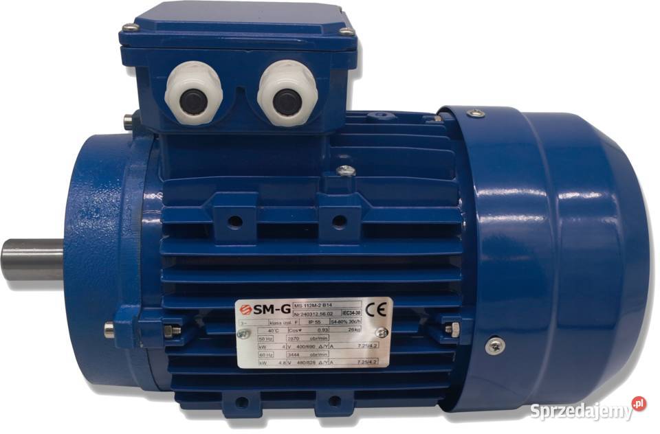 SILNIK ELEKTRYCZNY 40 kW 400690V 2870 Obr Solec Kujawski