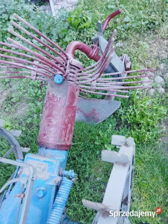 Kopaczka do ziemniaków świętokrzyskie Szydłów