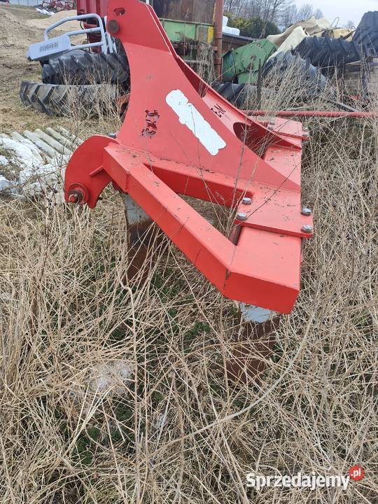 Głębosz euro masz pomorskie Nowa Karczma