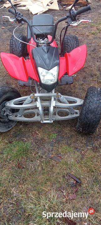 Sprzedam kłada Bashan 250 akryl Nowe Skalmierzyce