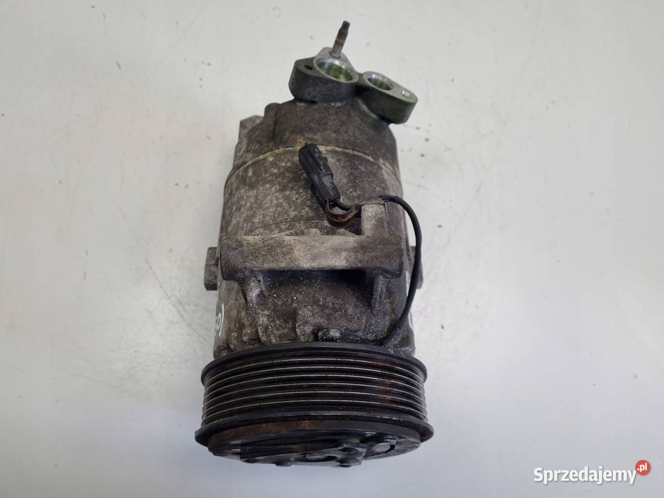 SPRĘŻARKA KLIMATYZACJI Nissan Qashqai J10 16 16V Kompresory klimatyzacji Rudka