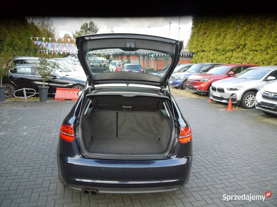 Audi A3 18 Qattro Led Xenon Bezwypadkowy Stan z