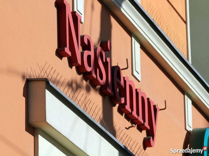 STOPPTAK CLASIC 101 kolce na ptaki ochrona przed Wrocław