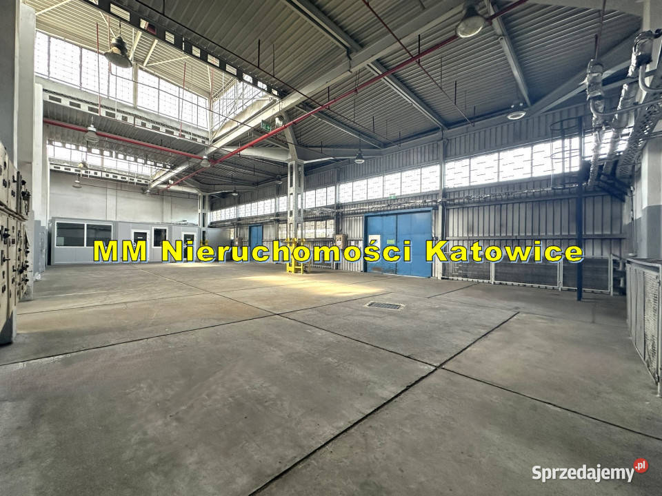 Magazyny z rampami i mediami do wynajęcia Sosnowiec sprzedam