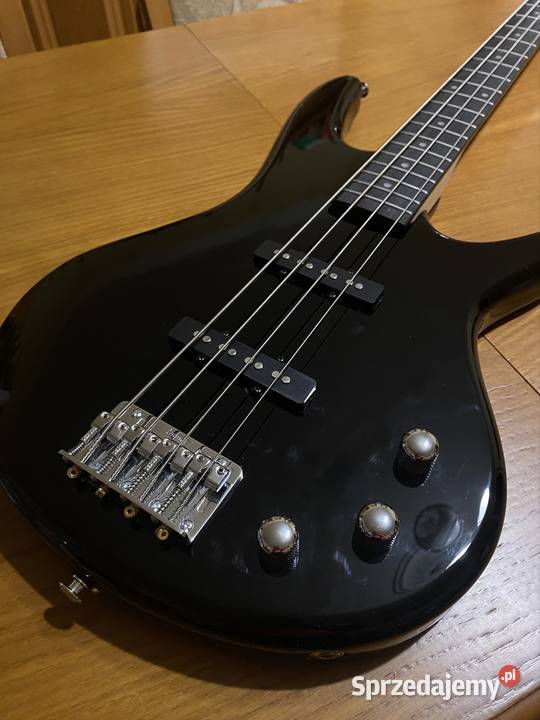Gitara basowa Bochnia