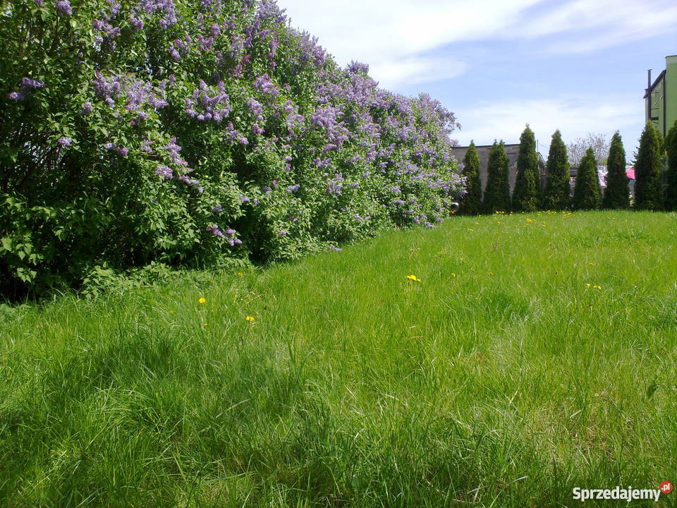 Działka budowlana nowa Pelplin sprzedam
