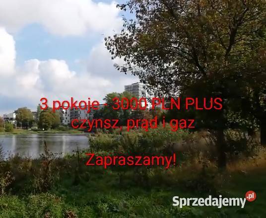3 NIEZALEŻNE POKOJE przyst POLIGONOWA Wynajem Warszawa