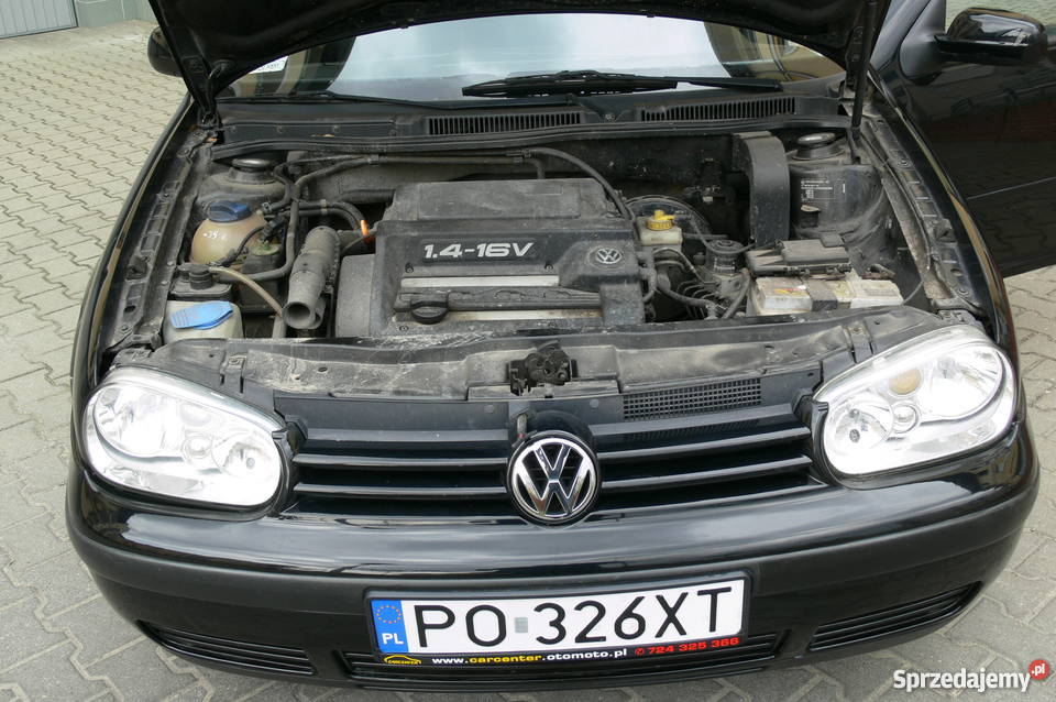 Volkswagen Golf IV 14 16V BBS 16 wielkopolskie Poznań