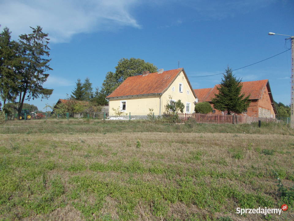 siedlisko dom gospodarstwo 11ha 700m linii mieszkalny Sapałówka