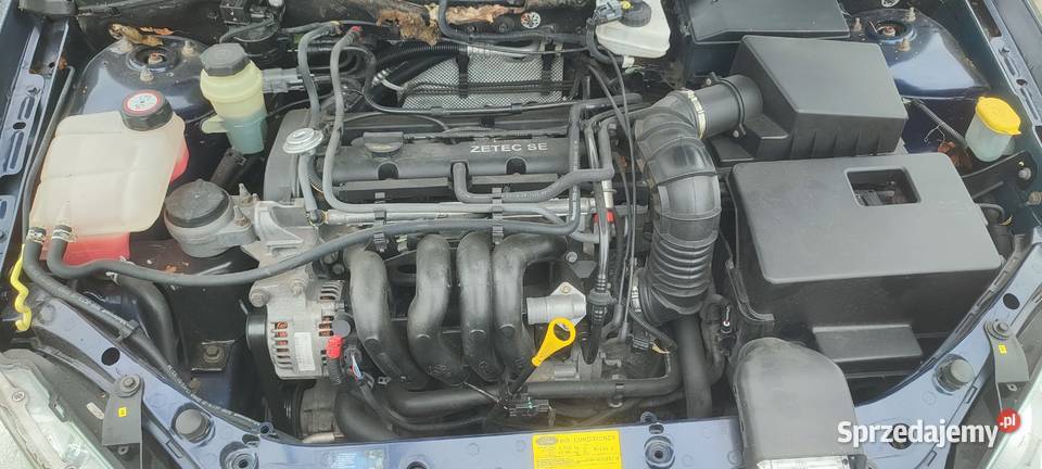Ford Focus 16 16v5 drzwi klima 91 super stan z manualna podkarpackie Krosno