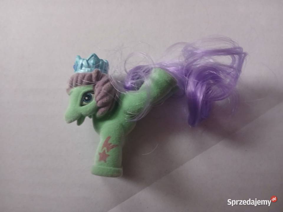 Kucyk Filly Royale Książe Glory Chrzanów