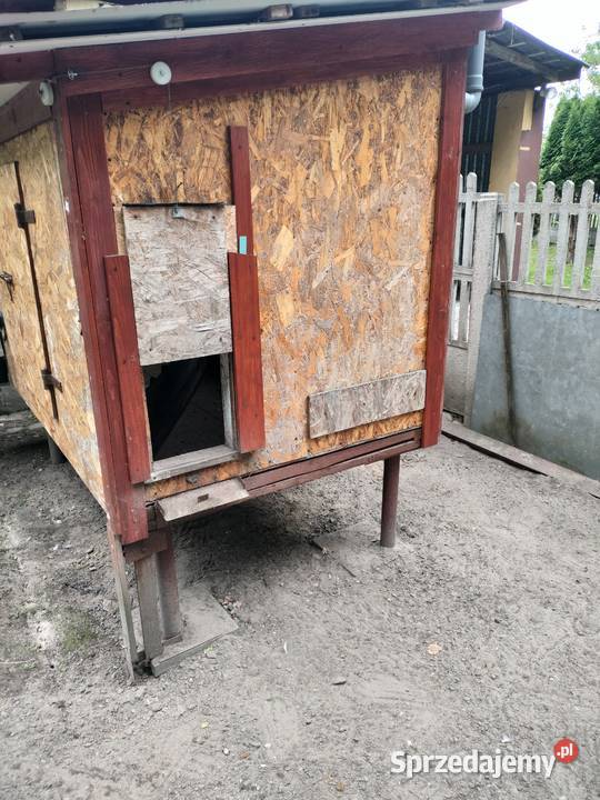 Kurnik Skarżysko-Kamienna