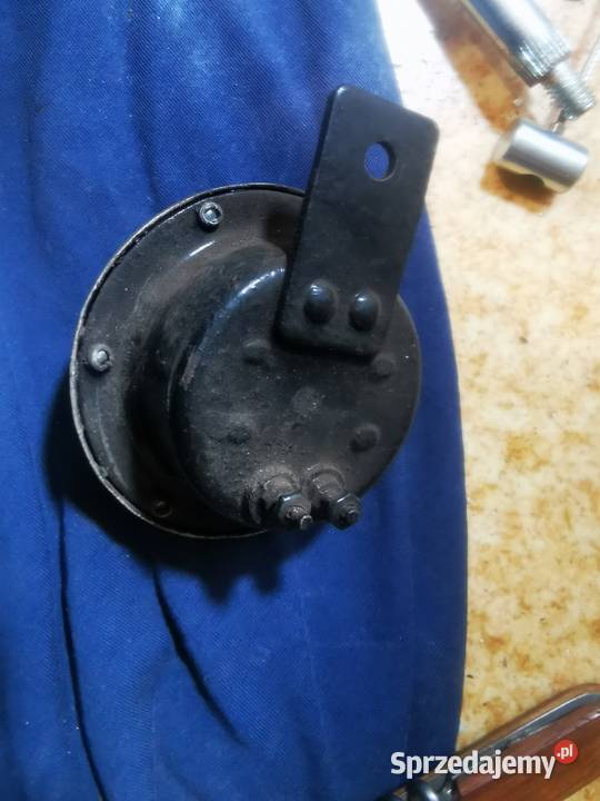 Ryś licznik wielkopolskie Leszno sprzedam