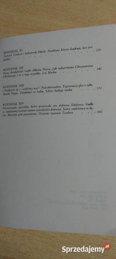 Niewiarygodne przygody Marka Piegusa miękka Lublin