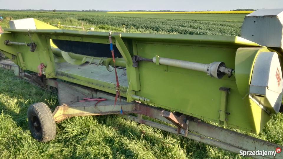 przystawka do kukurydzy claas 6 rzedowa Claas Legnica sprzedam
