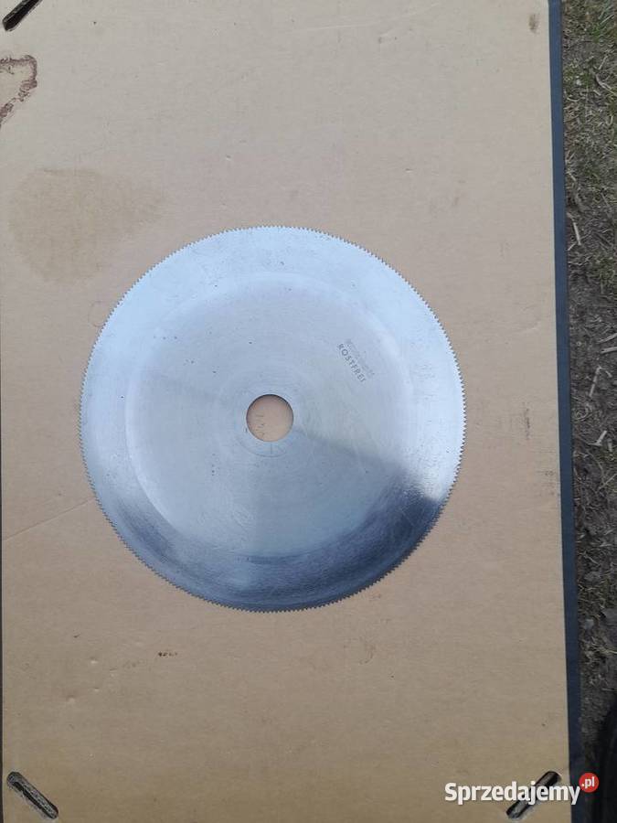 Nóż do sortownika szparagów wielkopolskie