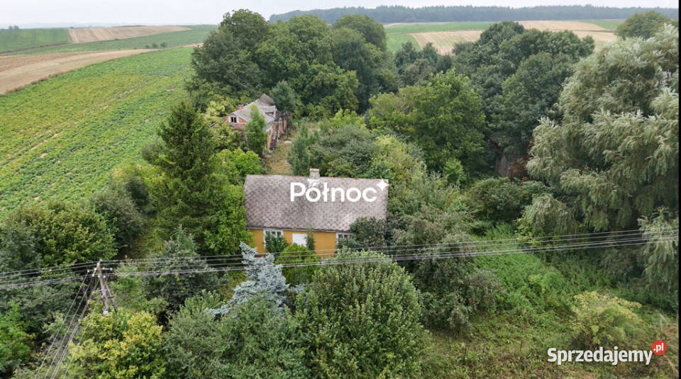 Gospodarstwo rolne dom pole i sad 088 ha asfalt Telatyn sprzedam