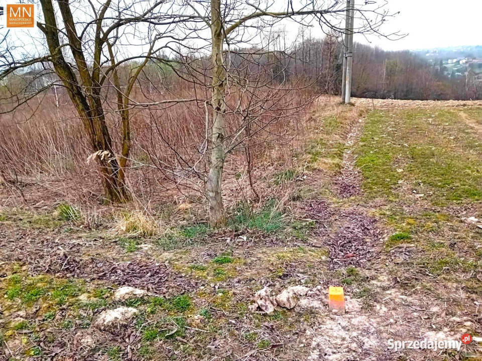 sprzedaży gruntu Wysiołek Luborzycki 2560m2 telefon