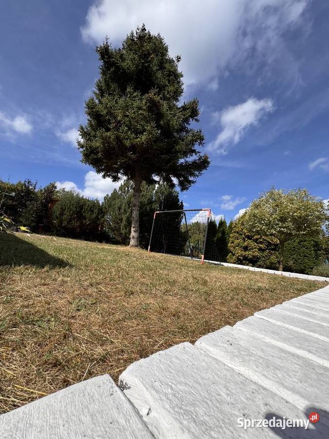 Ogródek Działkowy ROD Ślązaczka Mysłowice