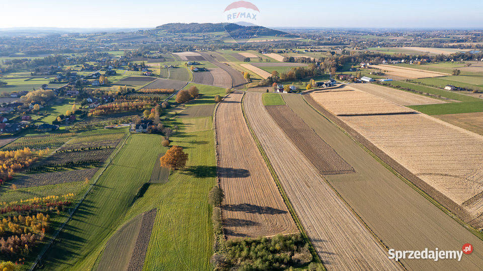Widokowa pod zabudowę siedliskową Sprzedaż Kozakowice Dolne