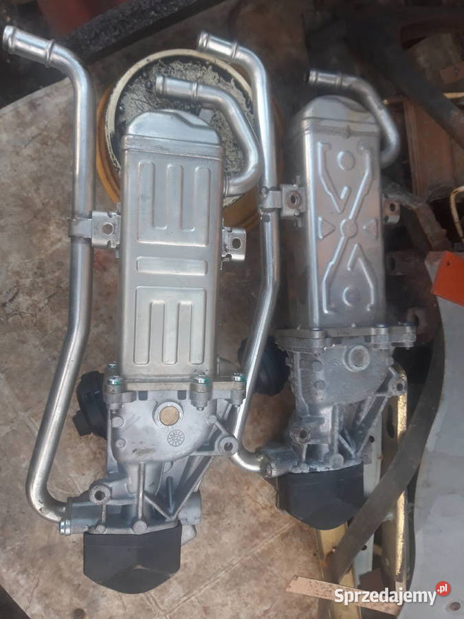 Zawór EGR chłodnica Golf Passat