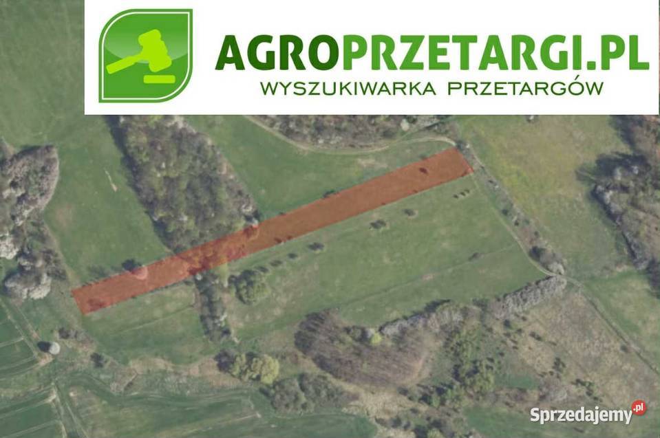 Dzierżawa 1661 ha gruntu rolnego 166100m2 dolnośląskie Kłodzko