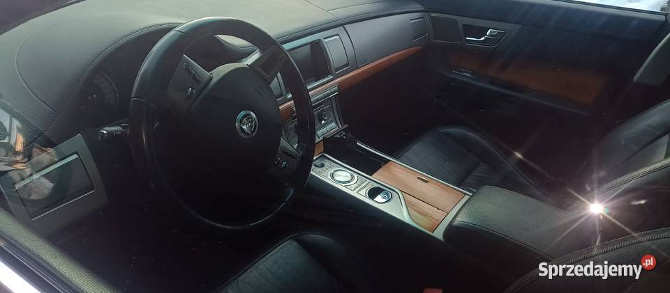 Jaguar ładny małopolskie sprzedam