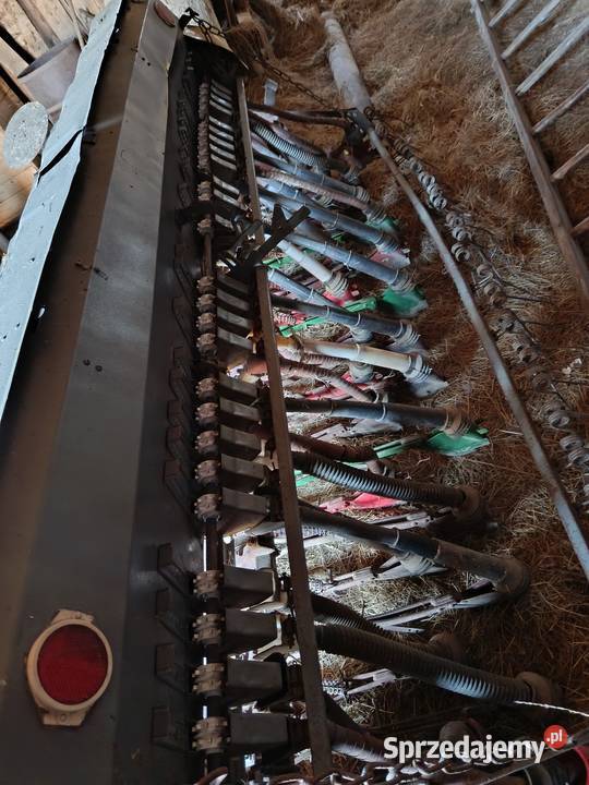 Siewnik poznaniak Narewka