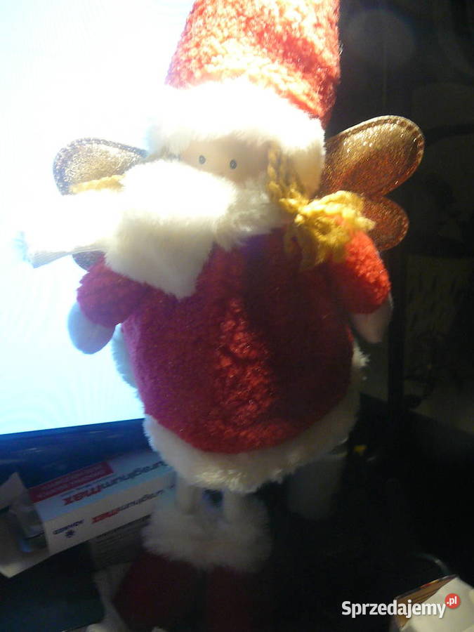 Aniołek Nowy 35 Belgia Wrocław