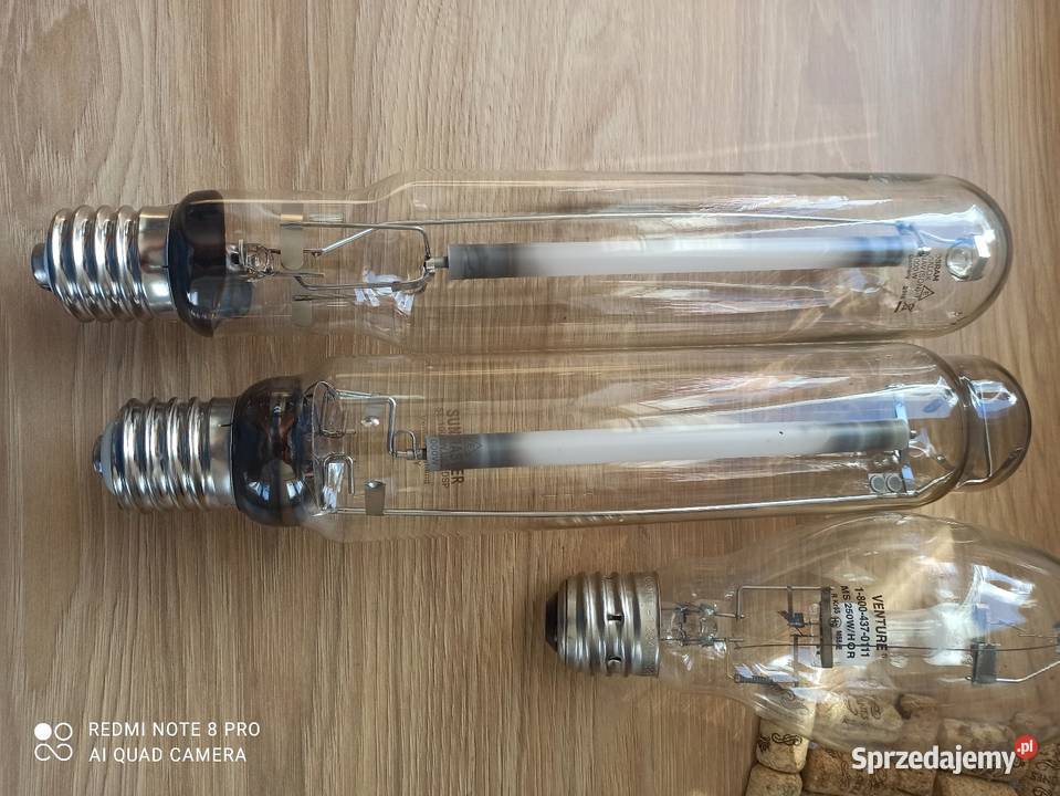 żarówki sodowe zachodniopomorskie Będzino