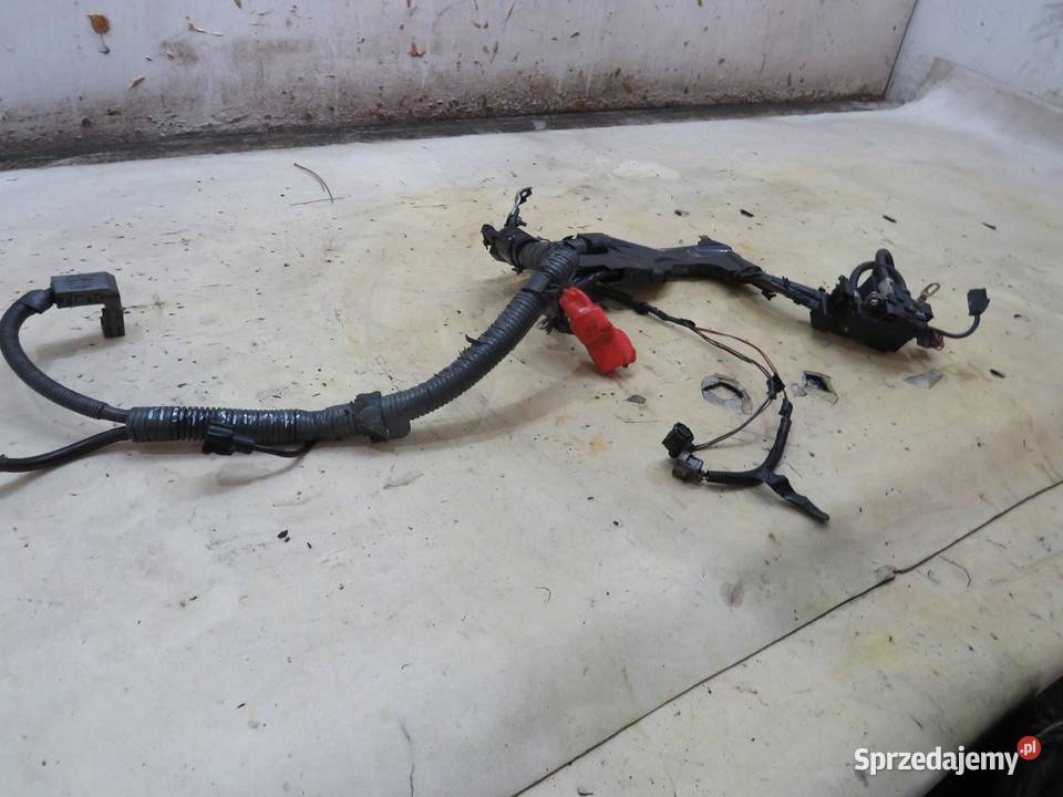 KLEMA AKUMULATORA AURIS II LIFT 16 D4D osobowe Materiały instalacyjne lubelskie