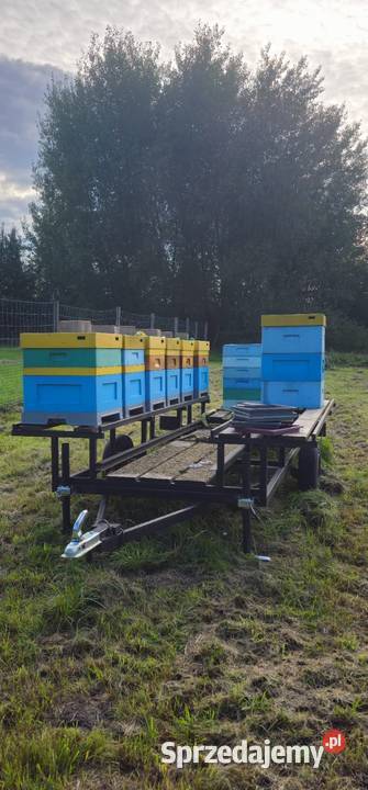 Przyczepka pod ule 18 sztuk