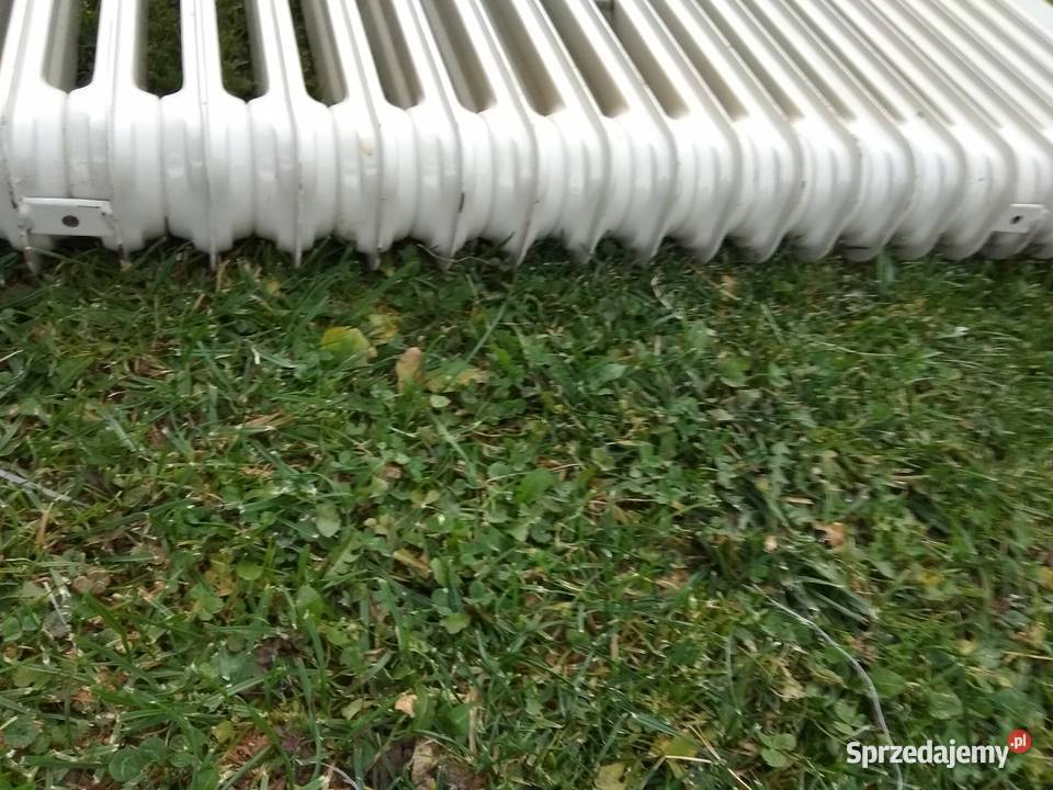 Grzejnik olejowy duży Nowy Sącz