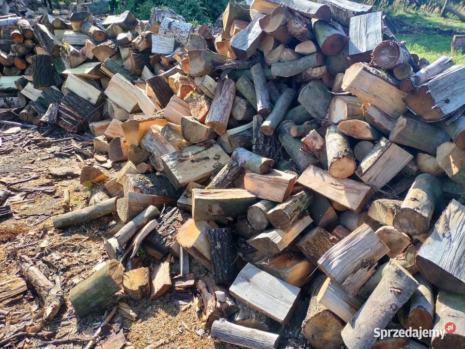 Drewno Buk brzoza olcha sosna Police