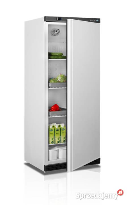 Szafa chłodnicza magazynowa biała Tefcold UR600 Kazuń Polski