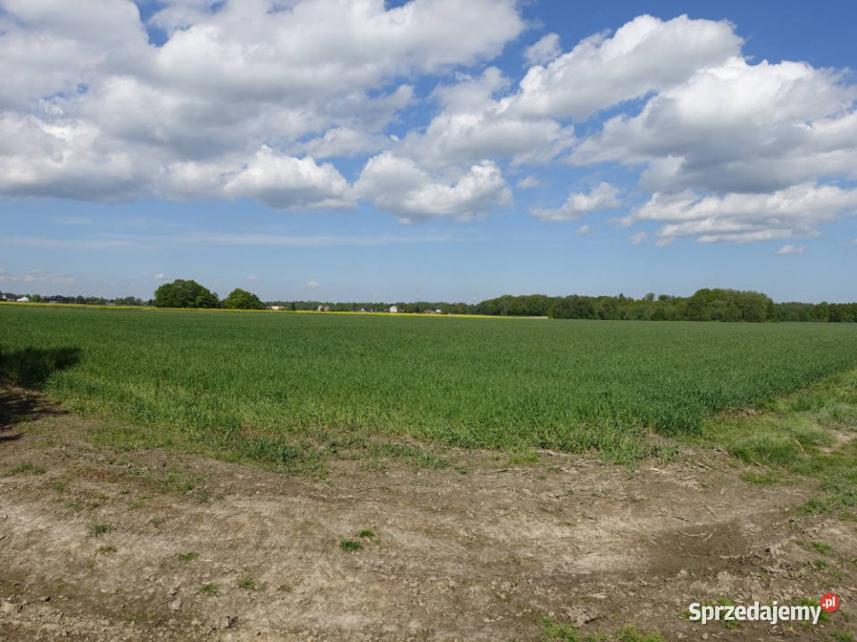 Skoczów Pruchna 115ha pod zabudowe stadnine lux sprzedam