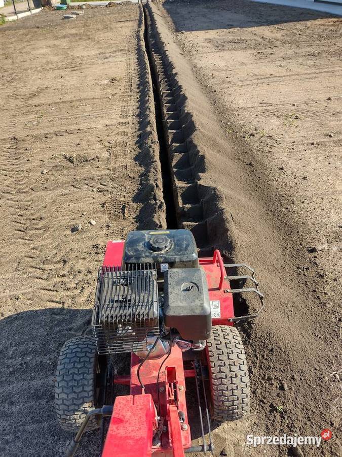 Uslugi ogrodnicze Wodzierady